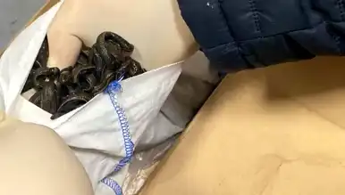 Havalimanında Dev Kaçakçılık Operasyonu: 2 Milyon TL Ceza!
