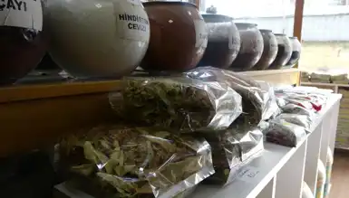 Ihlamur Fiyatları Çıldırdı: Kilosu 1500 TL!